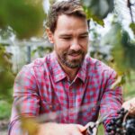 Scuppernongs, Muscadines, and Table Grapes Wholesale Grape Buying Guide for Tennessee