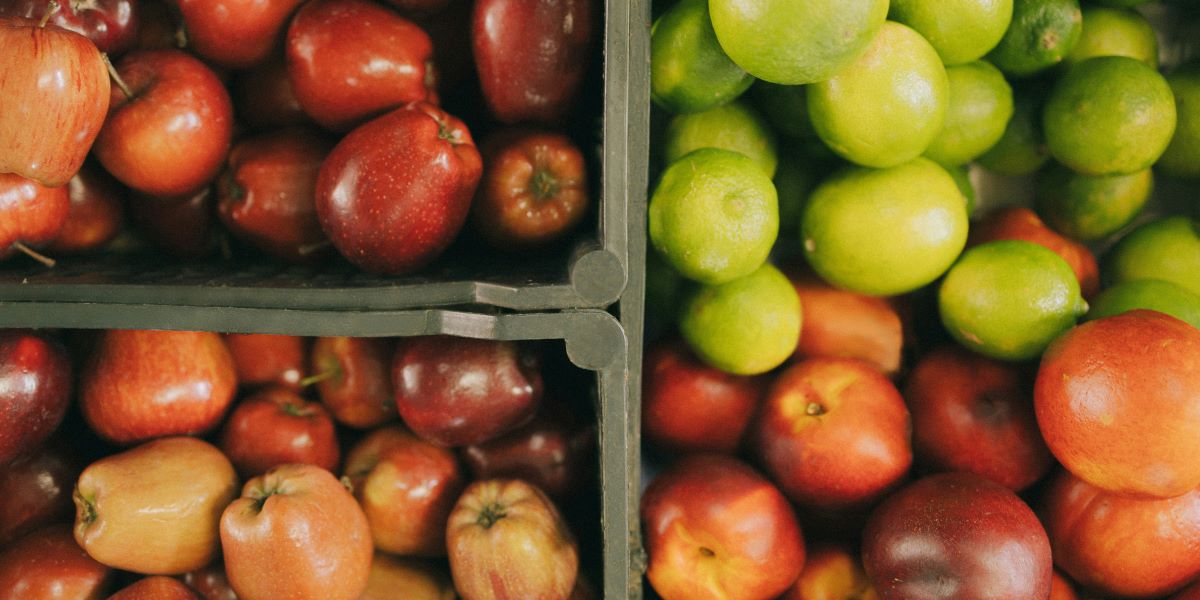 Wholesale Apples in Birmingham AL Varieties, Availability, and Year-Round Supply From J.J. Jardina Company