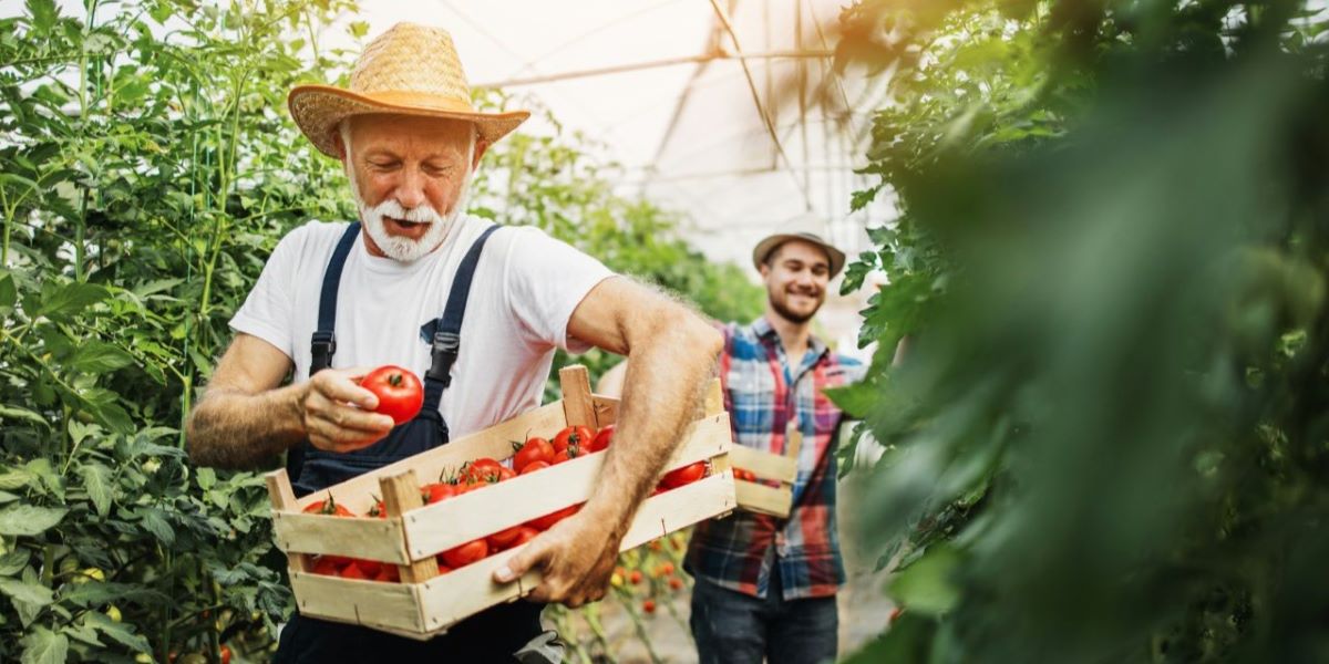 Wholesale Produce Distributor for Birmingham AL Restaurants, Retailers, and Resellers