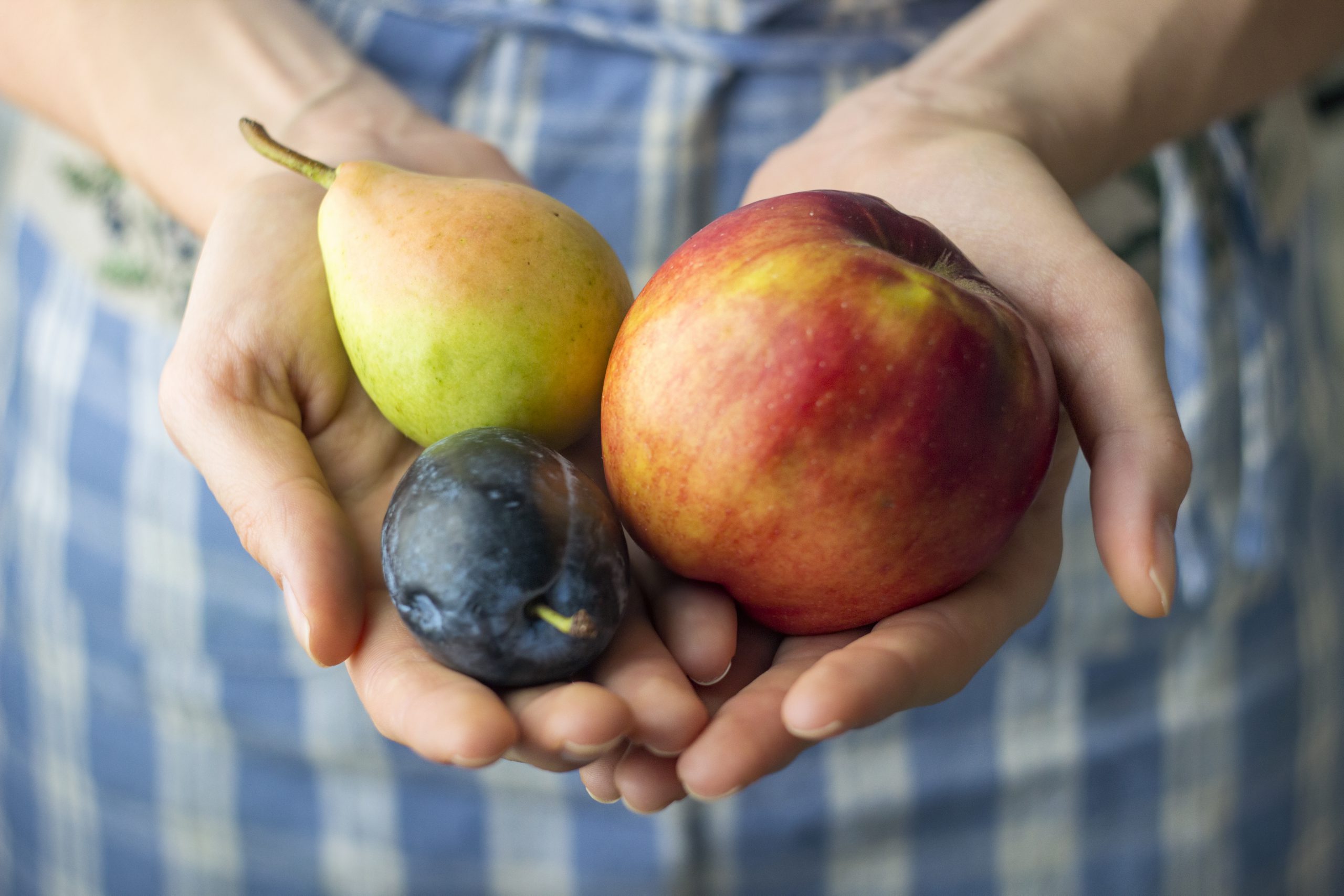 organic fruit